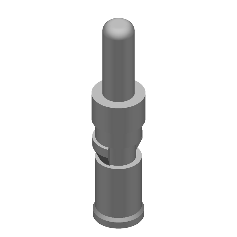 3D Model