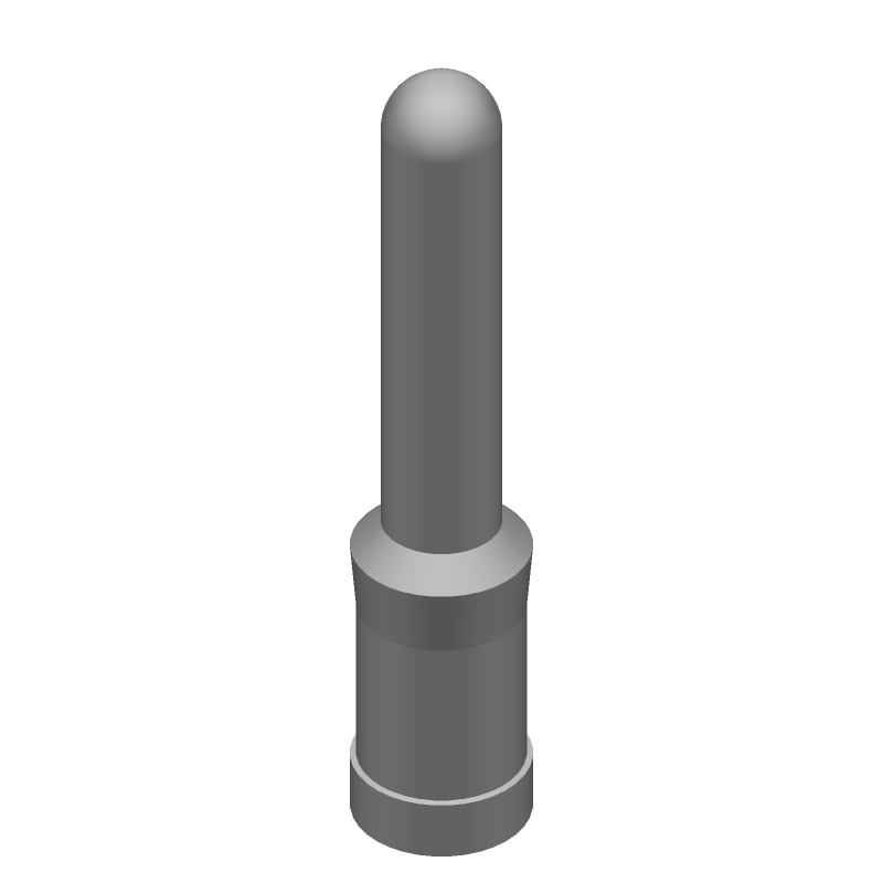 3D Model