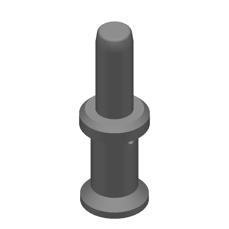 3D Model