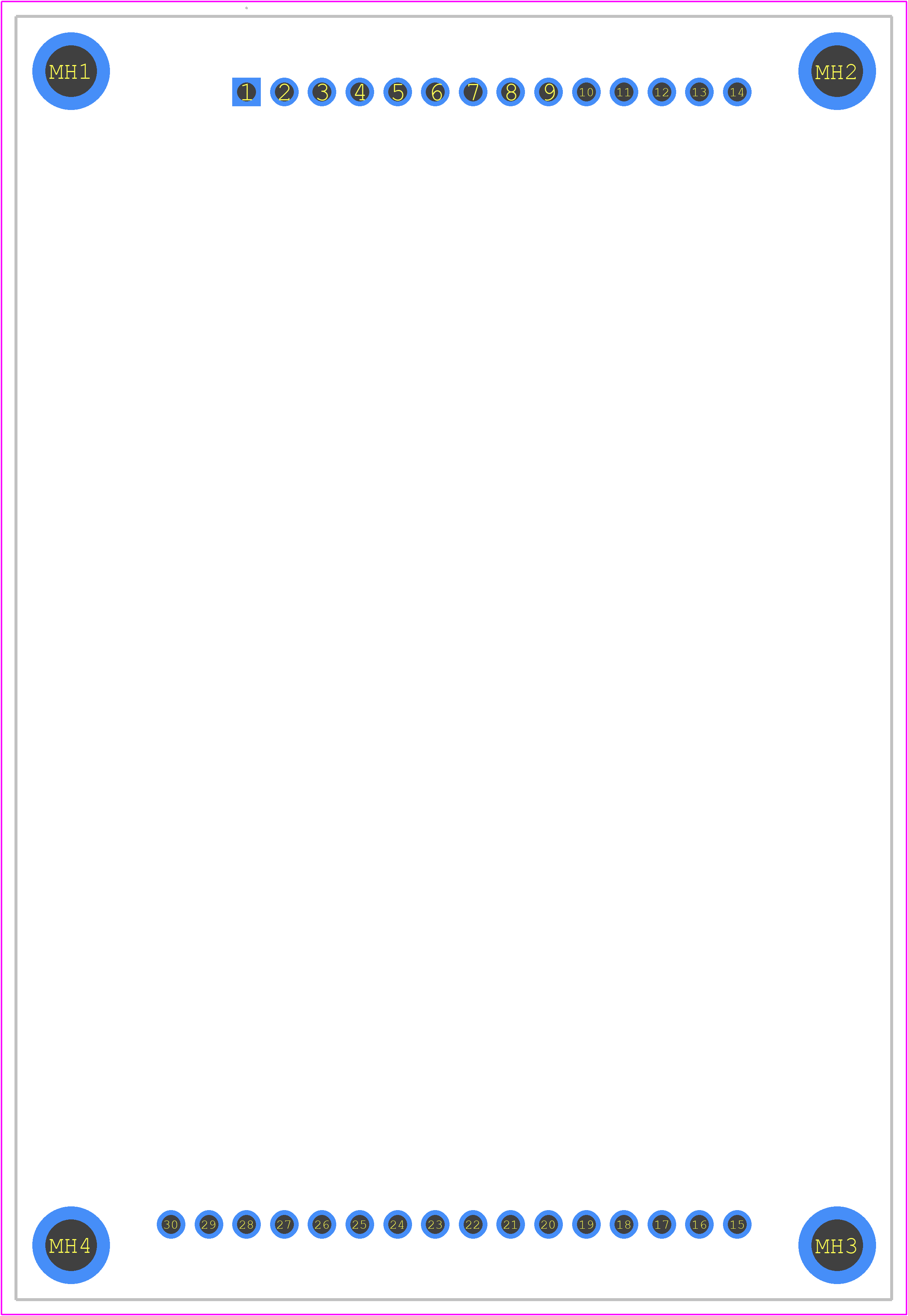 MP206KP - Apex Microtechnology PCB footprint - Other - Other - KP 30-pin Open Frame-1