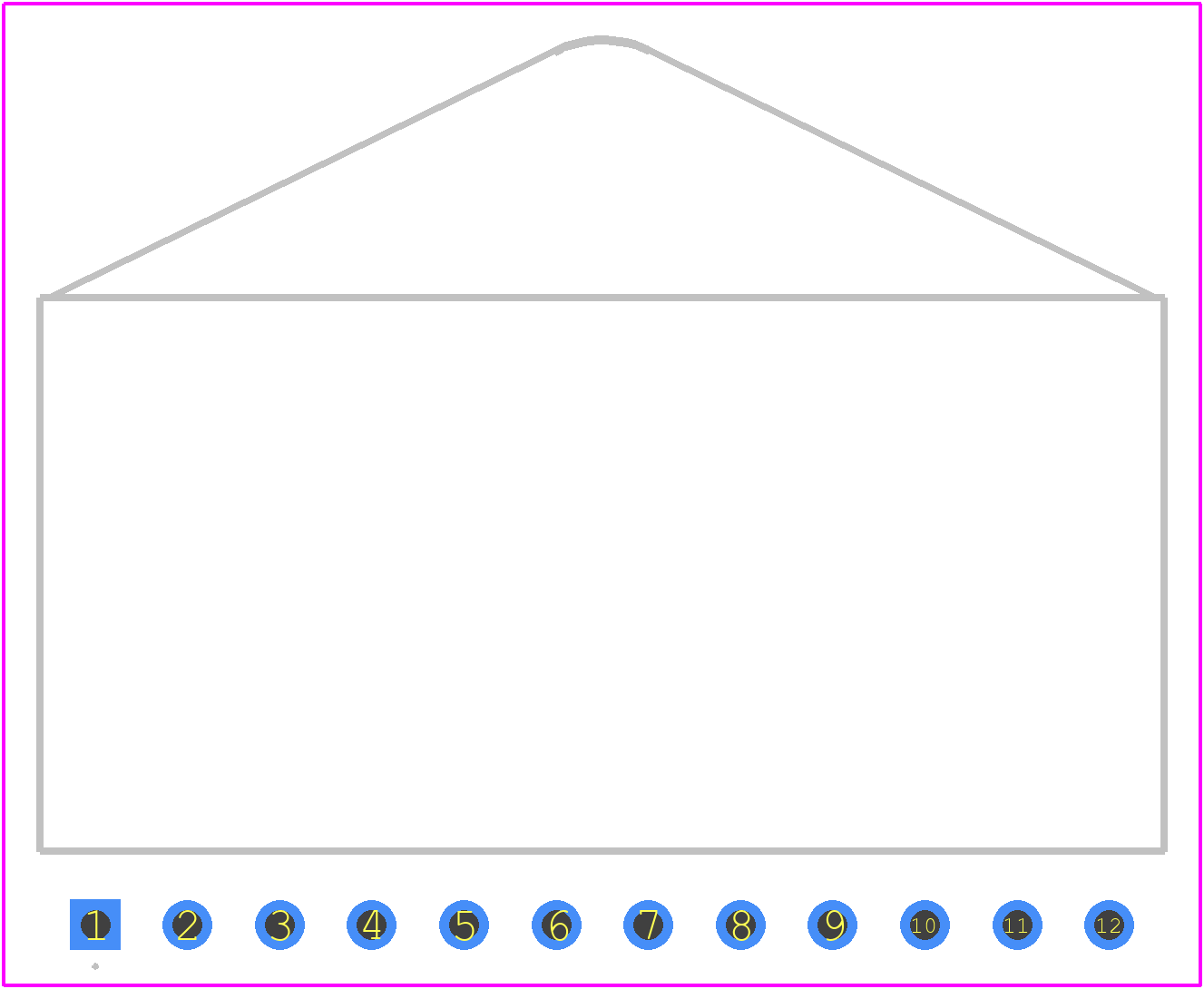 PA198FP - Apex Microtechnology PCB footprint - Other - Other - 12-Pin SIP (FP)